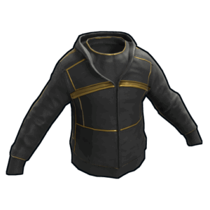 Black Gold Hoodie
