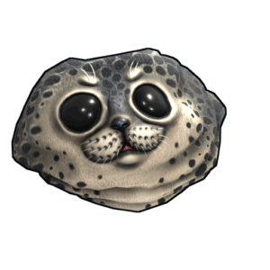 Harbor Seal Rock