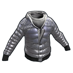 Winter Hoodie