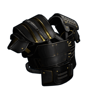 Black Gold Vest