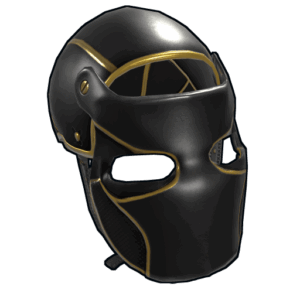 Black Gold Facemask