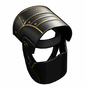Black Gold Helmet