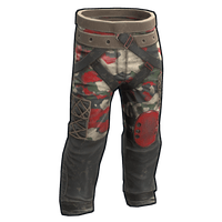 Checkpoint Pants