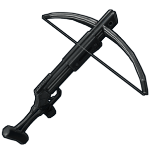 Training Crossbow